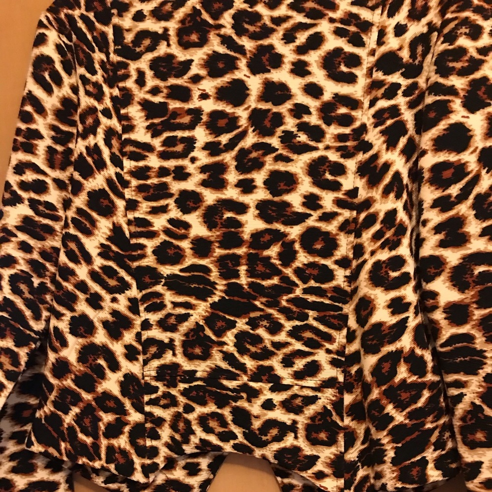 Jacket - Picture 4 of 16